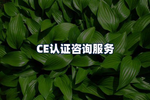 CE认证咨询服务
